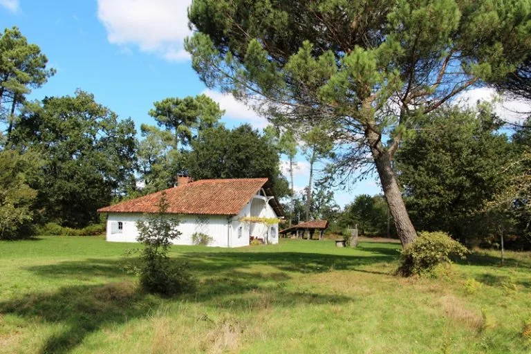 Airial-Lartigue-Garein-9-768x512