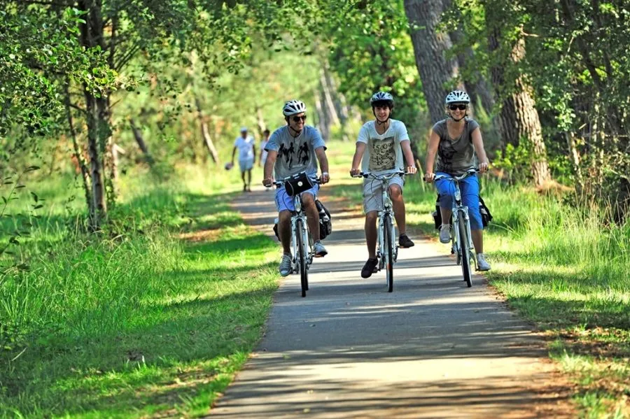 Piste vélo sur le littoral des Landes