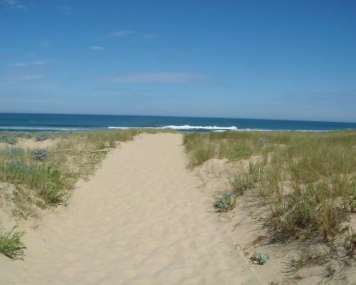 PlageContis©CdtLandes