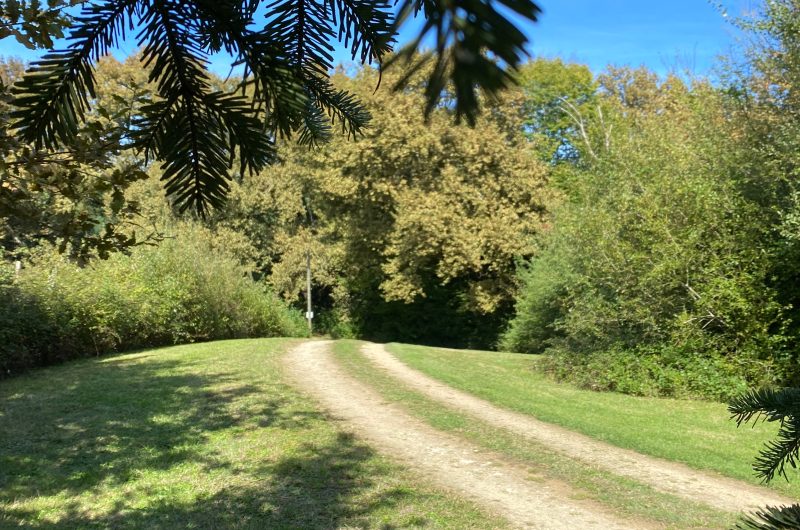 (19) 2025 – BETB – Domaine de Bourgade – Chemin – ©Mme COLIER Corinne