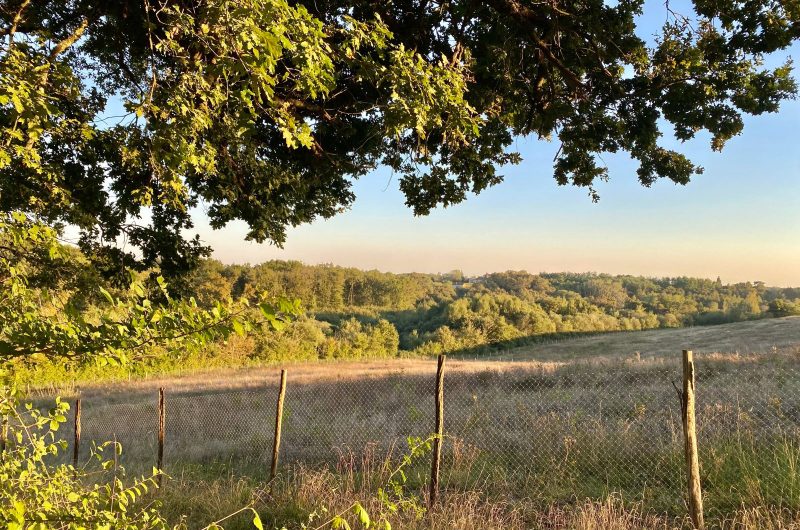 (5) 2025 – BETB – Domaine de Bourgade – Vue sur forêt – ©Mme COLIER Corinne