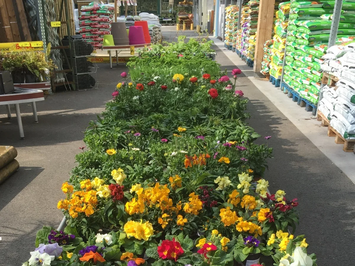 -BricoMarche-2016–4-