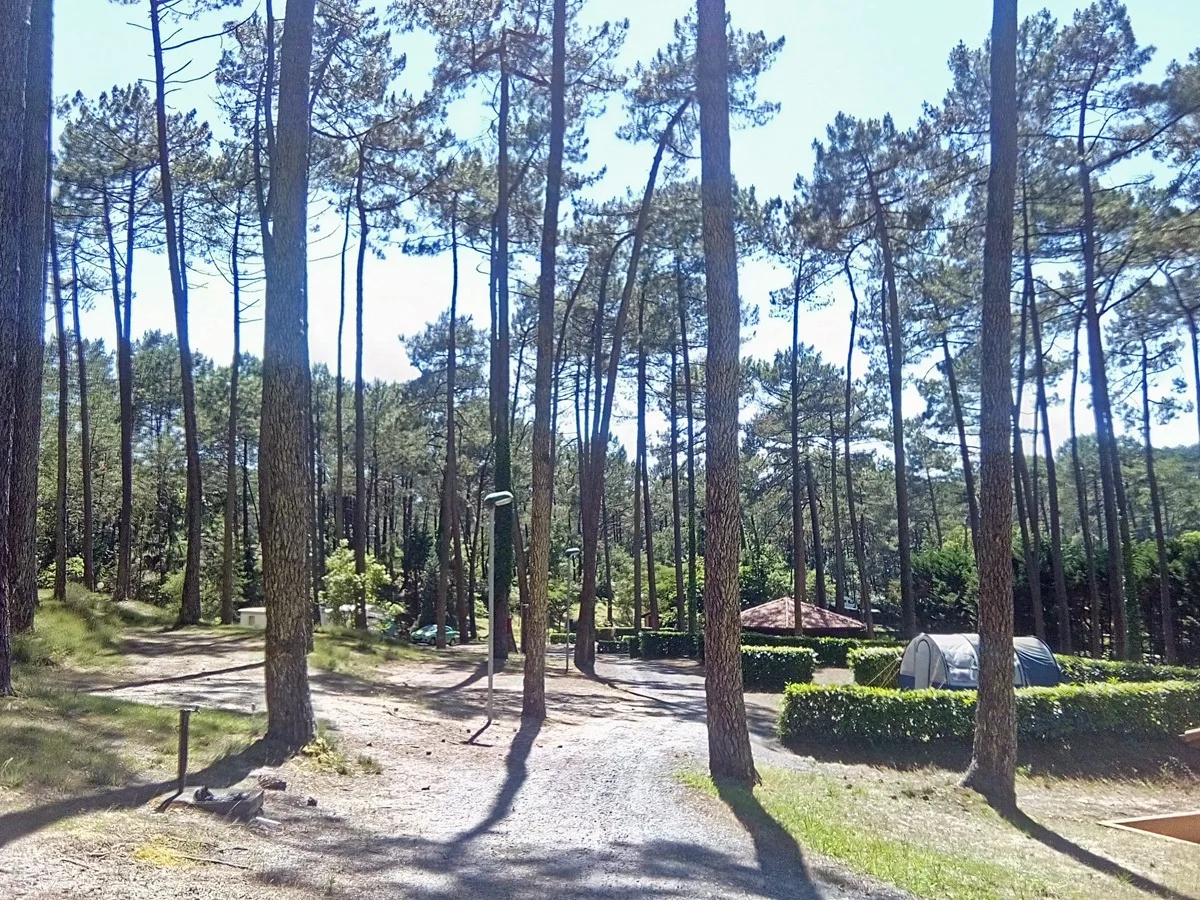 -CampeoleEtangBlanc-2016–3