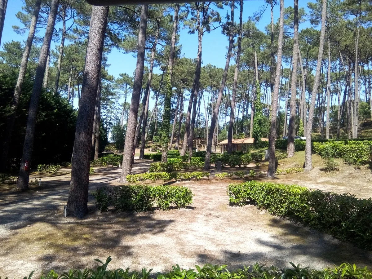 -CampeoleEtangBlanc2016–8-