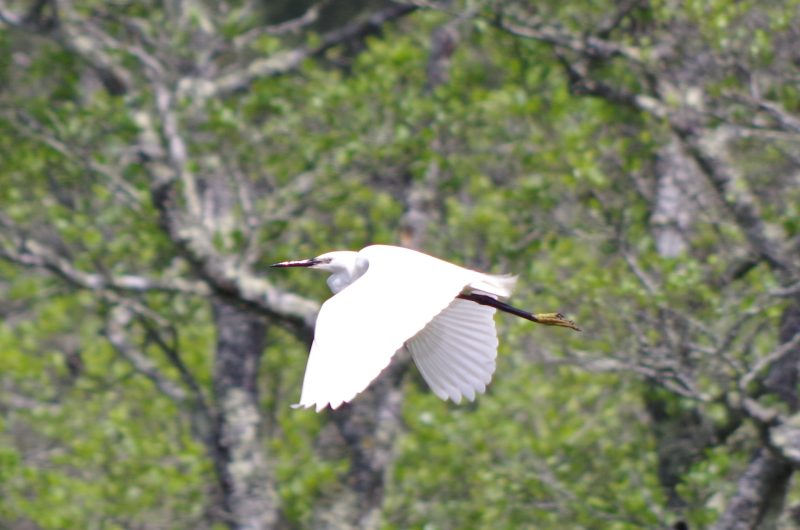 -Catherine-Kwasniewski–3-