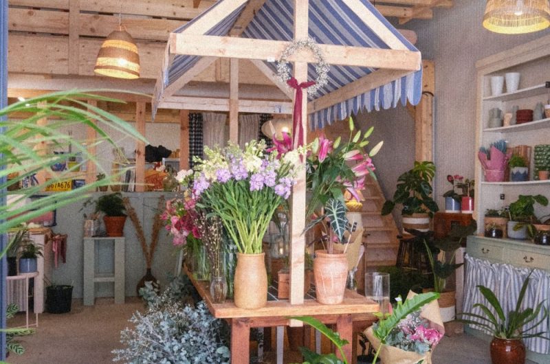 redim photo site et montages – 1