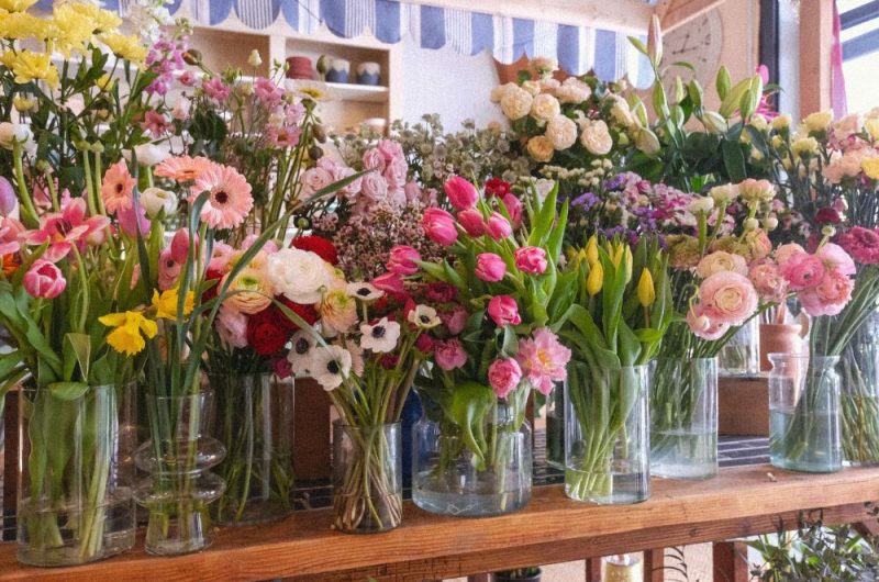 redim photo site et montages – 2