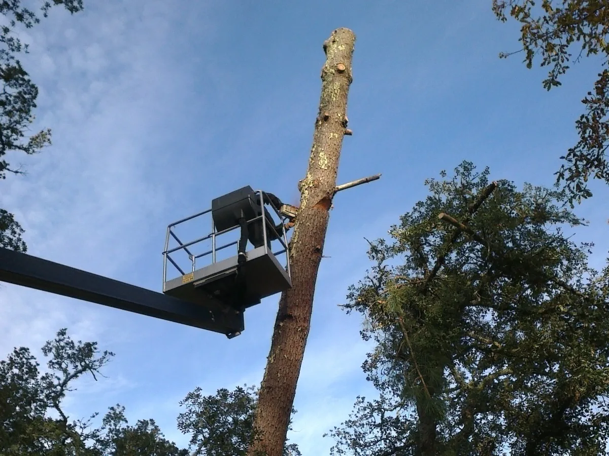 -Elag-arbres-2015–4–2