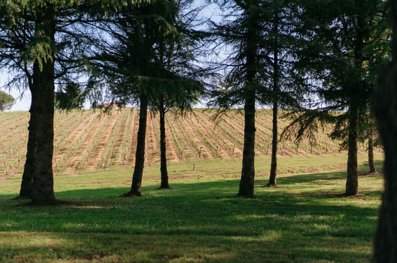 @Exterieur 6 Pétanque