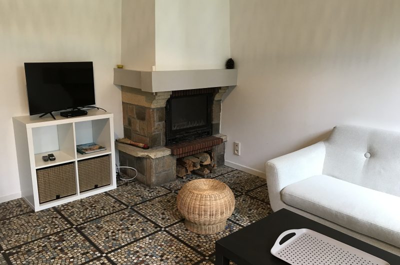 @Inda_salon et cheminée_CLNT (10)