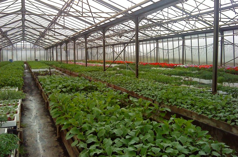 ©Laplace Joésphine-Laplace Christian-photo 1