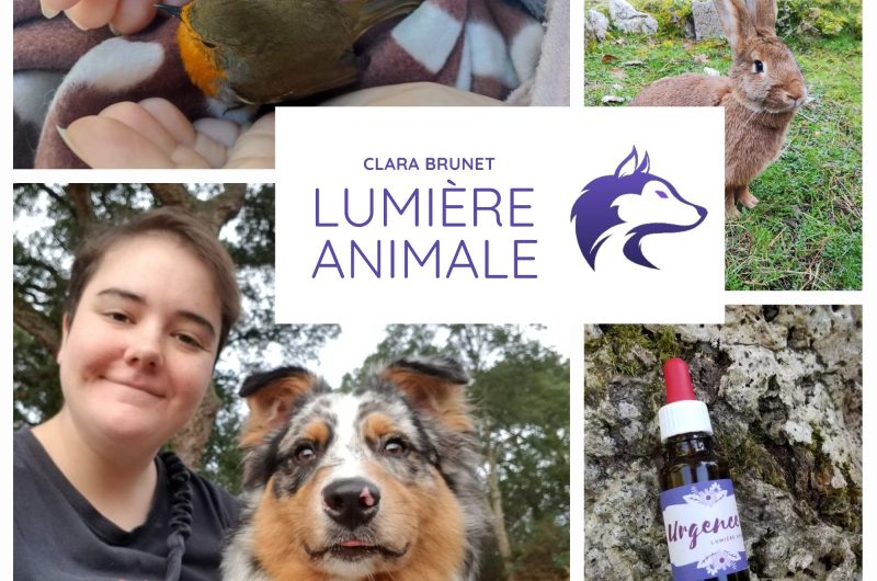 Montage photo de vacances à la plage avec une séance bronzage et une glace – 1