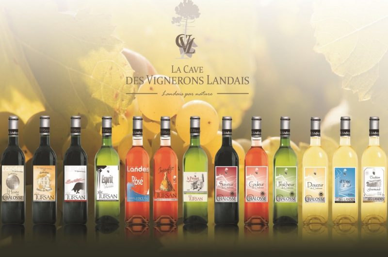 Bergerie des Vignerons du Tursan_Messanges_OTI LAS