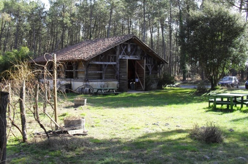 Bergerie des Vignerons du Tursan_Messanges_OTI LAS