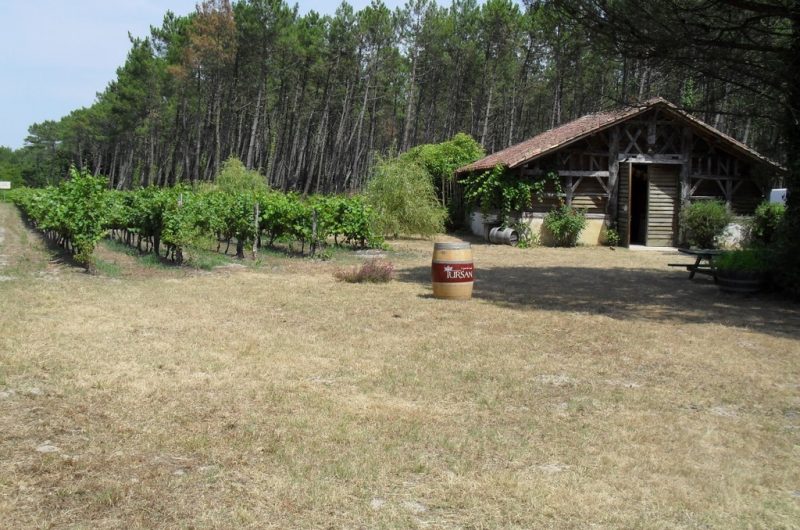 Bergerie des Vignerons du Tursan_Messanges_OTI LAS