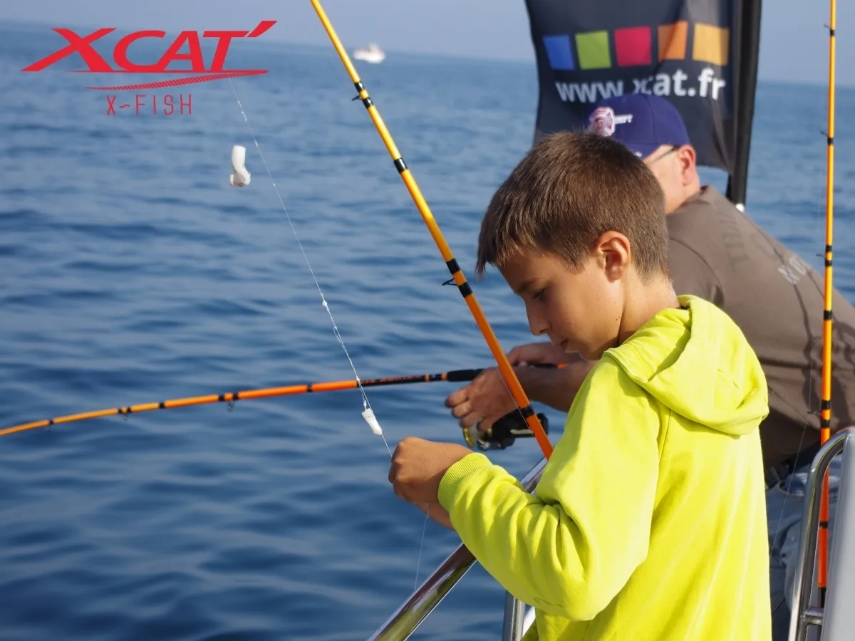 -Xcat-2015-8