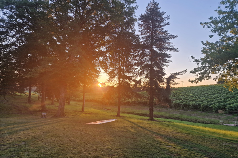 @extérieur 3 Vignes Marquestau