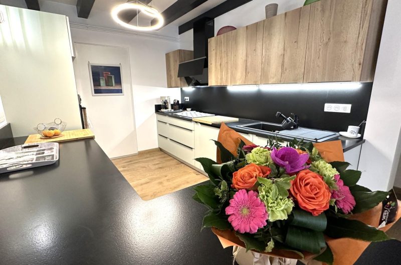 -saint-martin-de-seignanx-leporte-adour-landes-oceanes–ref–11582-2