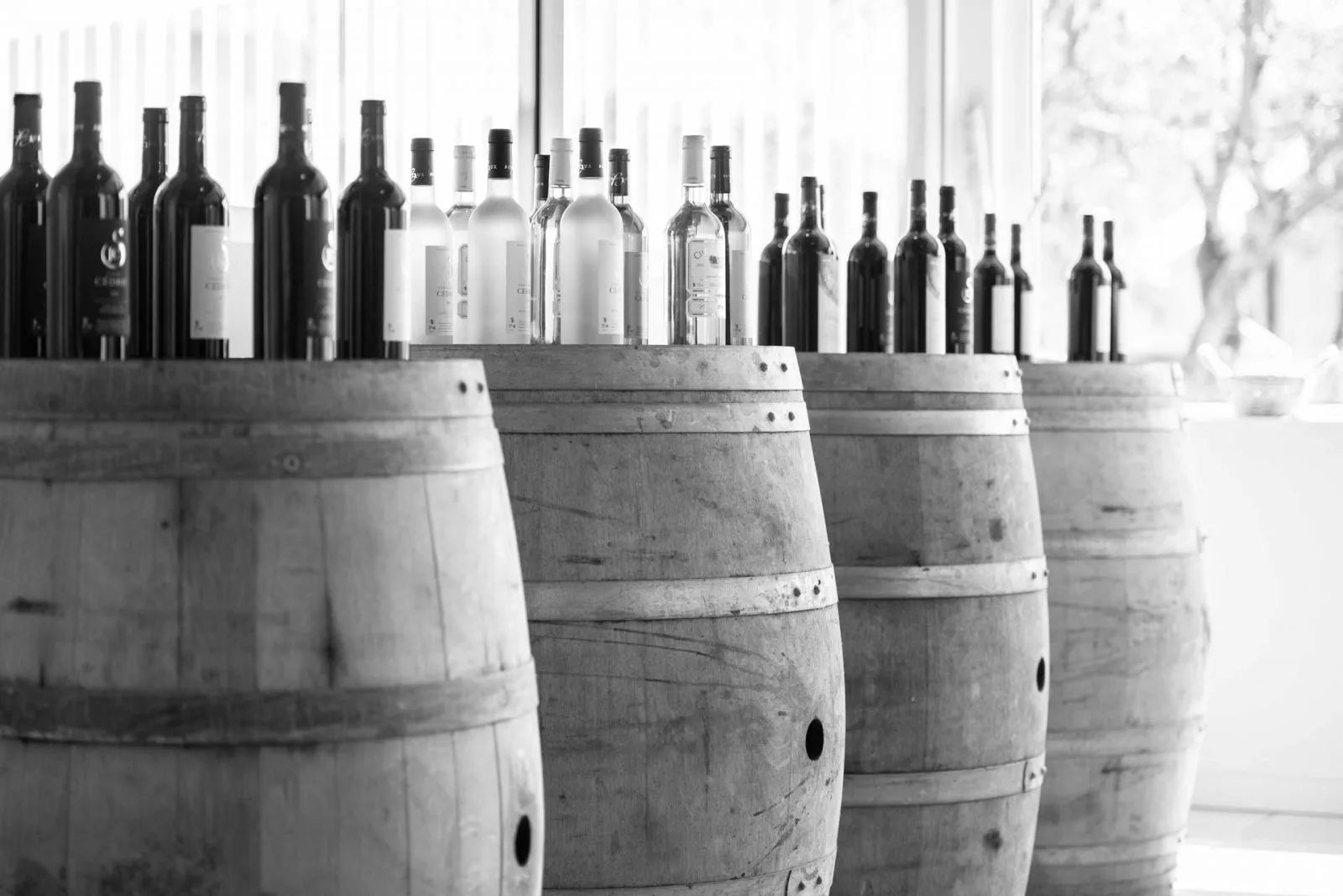 0024_20210705_AMARENA_24