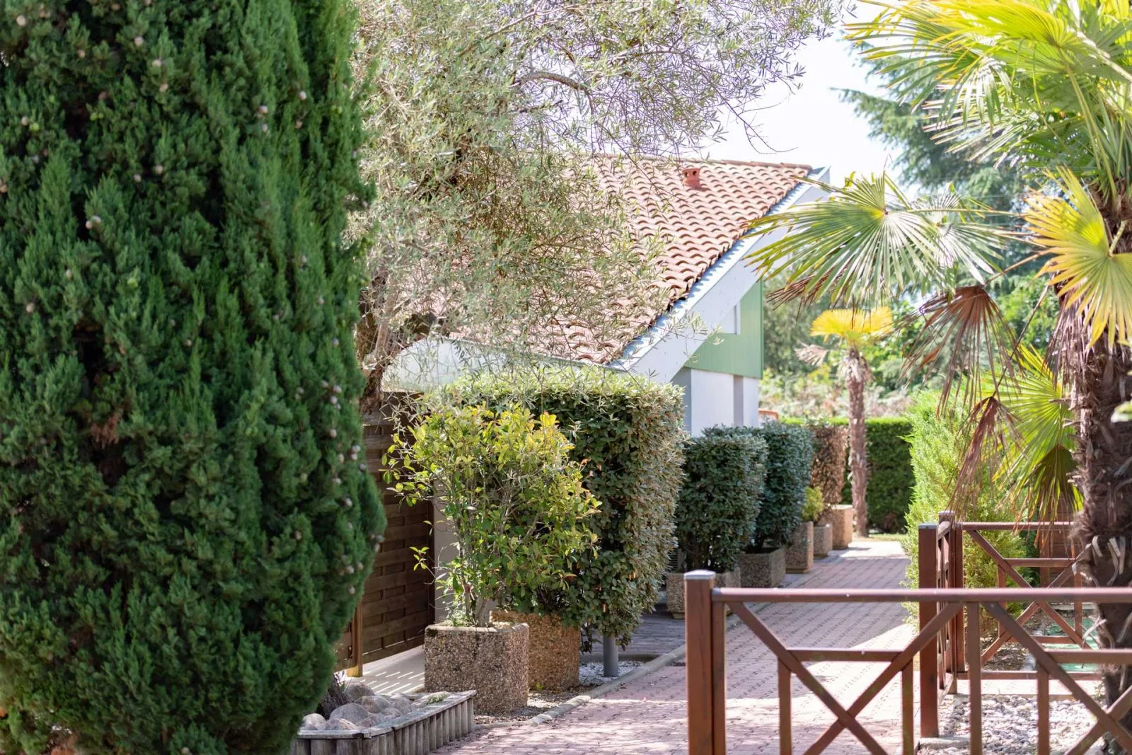 0039_20210705_AMARENA_39