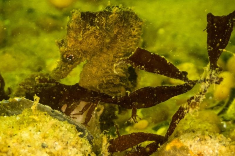 Design sans titre – 1