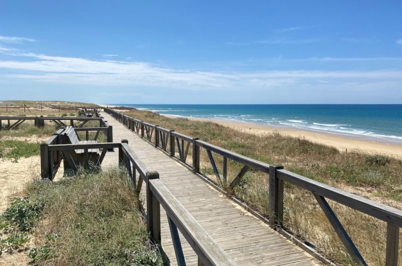 1-CLNT – LIT ET MIXE – Plage du Cap de l’Homy (22)TS