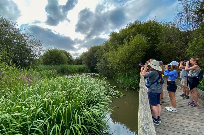 10082021-visite-guidee-marais-orx-labenne2©OTI_LAS-5