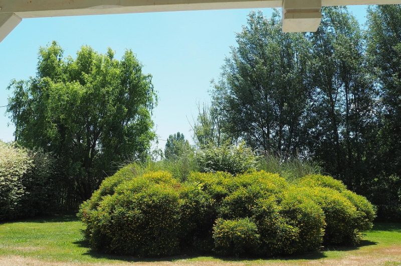 104-chez-mpjp-soustons-bnb1-HLOAQU040V50TDJF-size2048