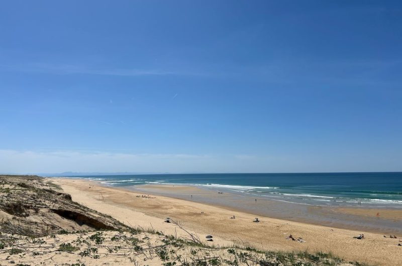 113 Lestrade_Messanges_Landes Atlantique Sud