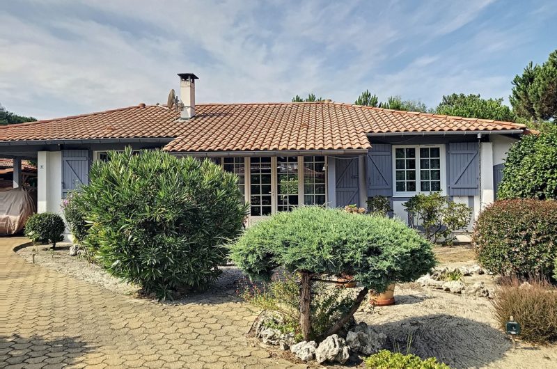 113 Villa Albizzias_Messanges_Landes Atlantique Sud