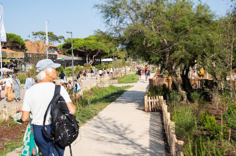 116 Appartement Aux Bons Souvenirs_Moliets_Landes Atlantique Sud