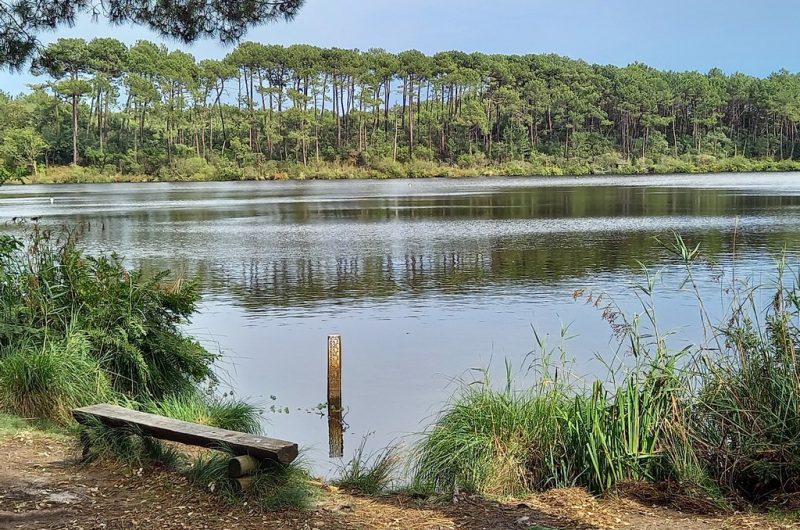 116 Cazaux_Moliets_Landes Atlantique Sud