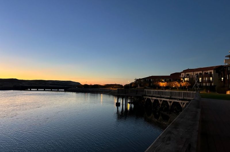 116 Lestrade_Messanges_Landes Atlantique Sud