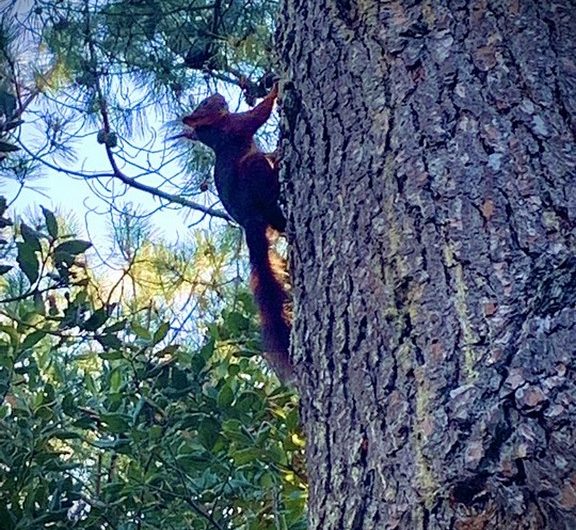 118 L’escale Océane_Moliets_Landes Atlantique Sud