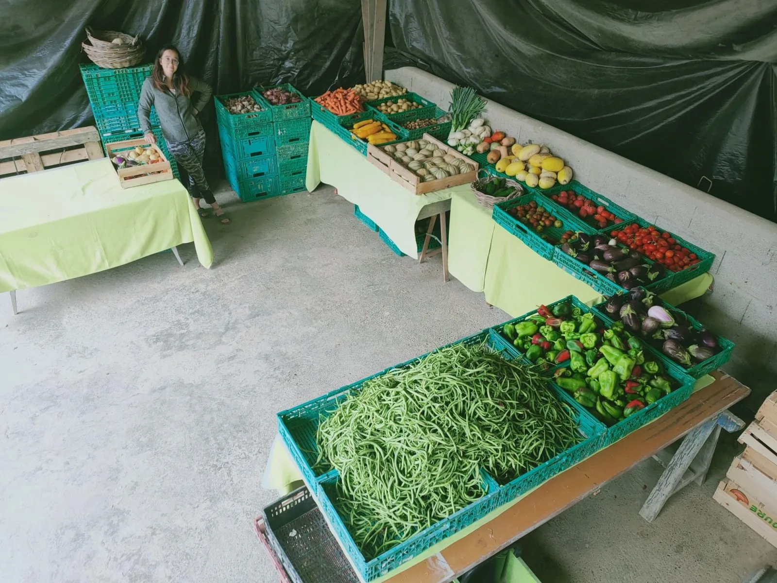 118916126_1682075718621843_3552875290121943990_o