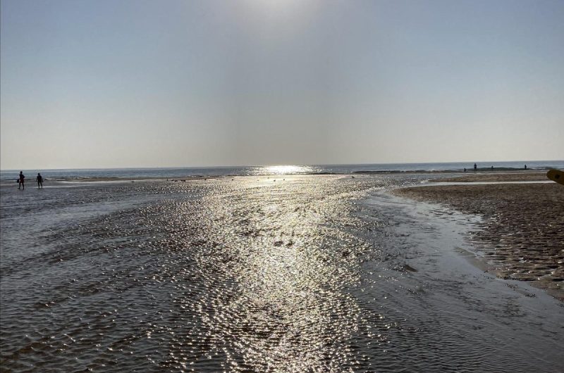 119 Villa 930-EMI_Moliets_Landes Atlantique Sud