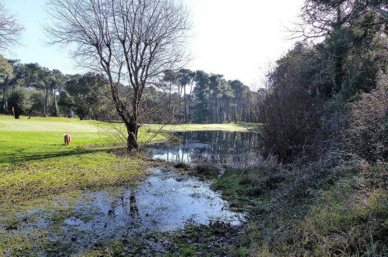 121 Appartement Isa&Henri_Moliets_Landes Atlantique Sud