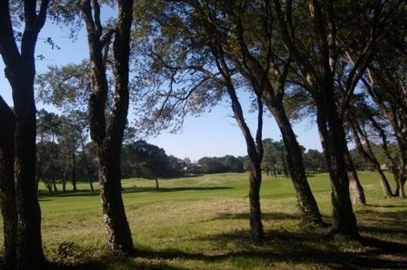 124 L’Océan des Landes_Messanges_Landes Atlantique Sud