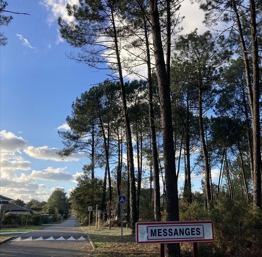 125 120 Villa Marcassin – Domaine de Branouns_Messanges_Landes Atlantique Sud