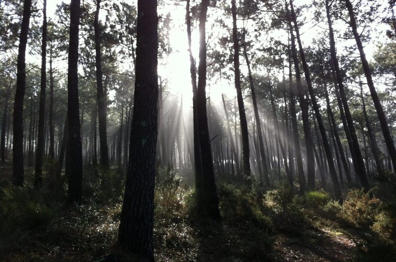 148-locations-beachcottage-messanges-bnb3-HLOAQU040V50JXGD-size2048