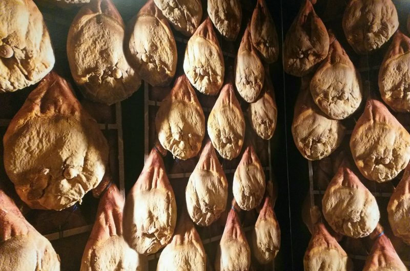 154974000_282114490175218_2611867041693425273_n