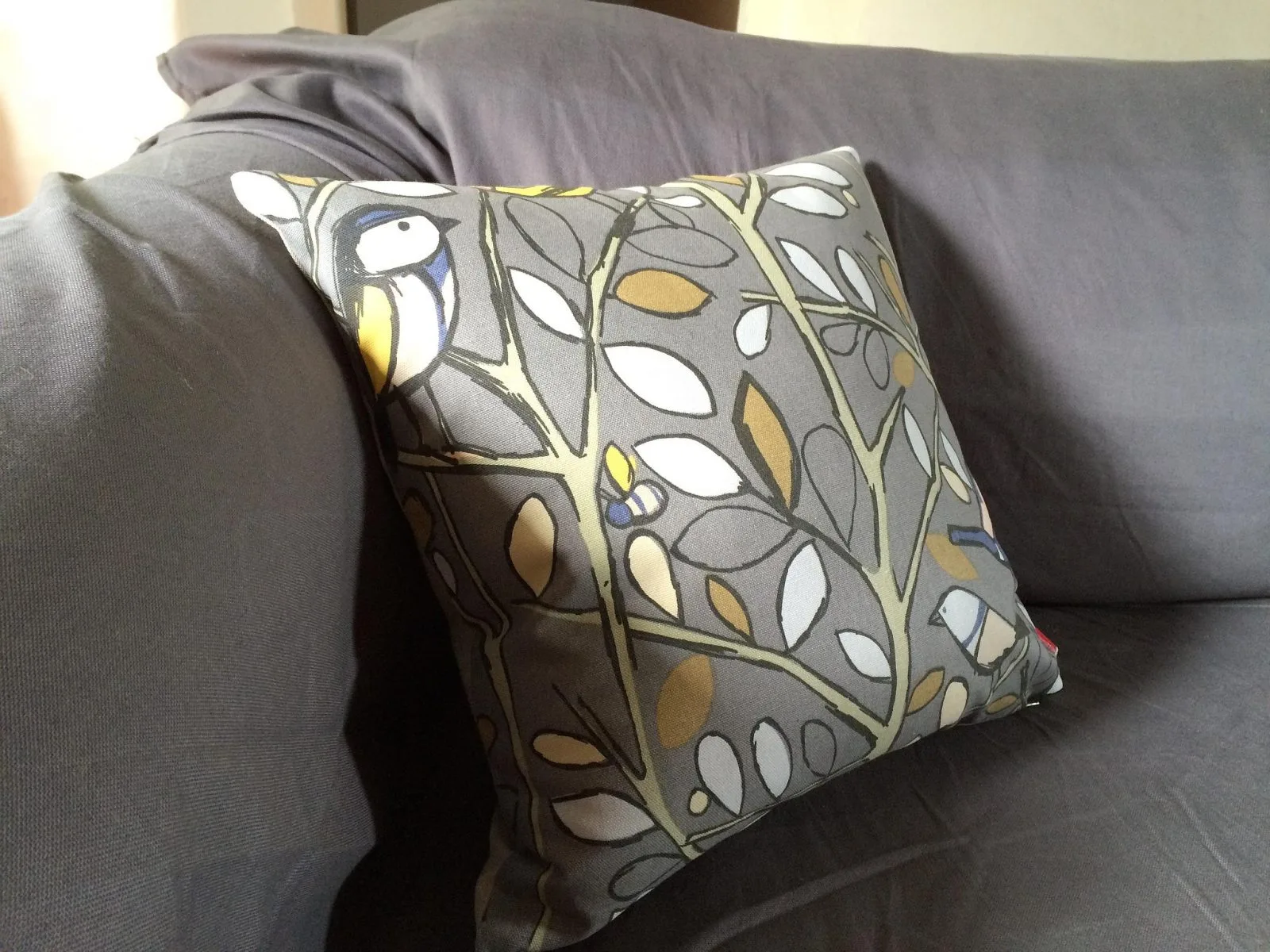 171-gites-marais-orx-bnb4-HLOAQU040FS00016-size2048