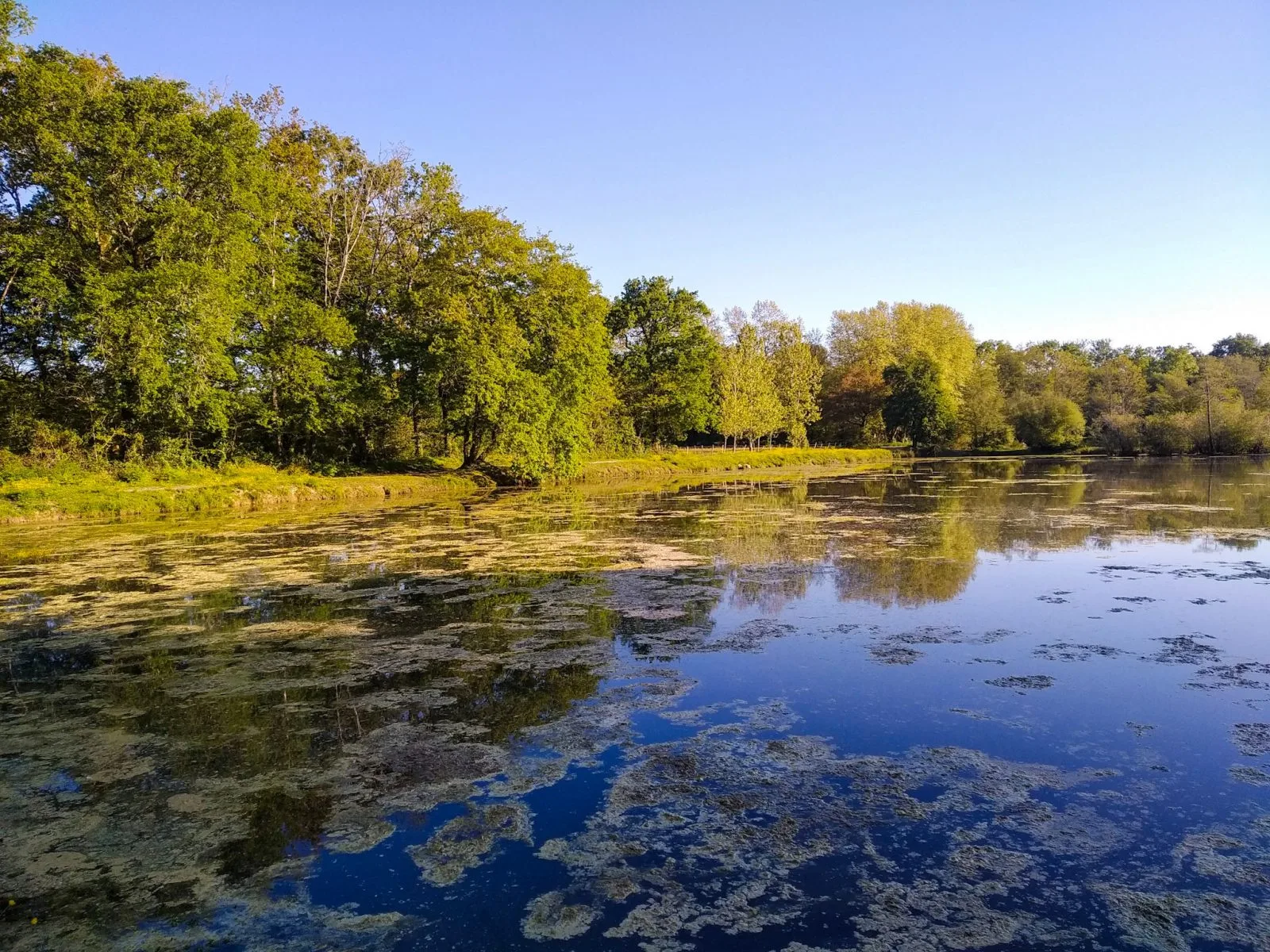 Etang et tant…