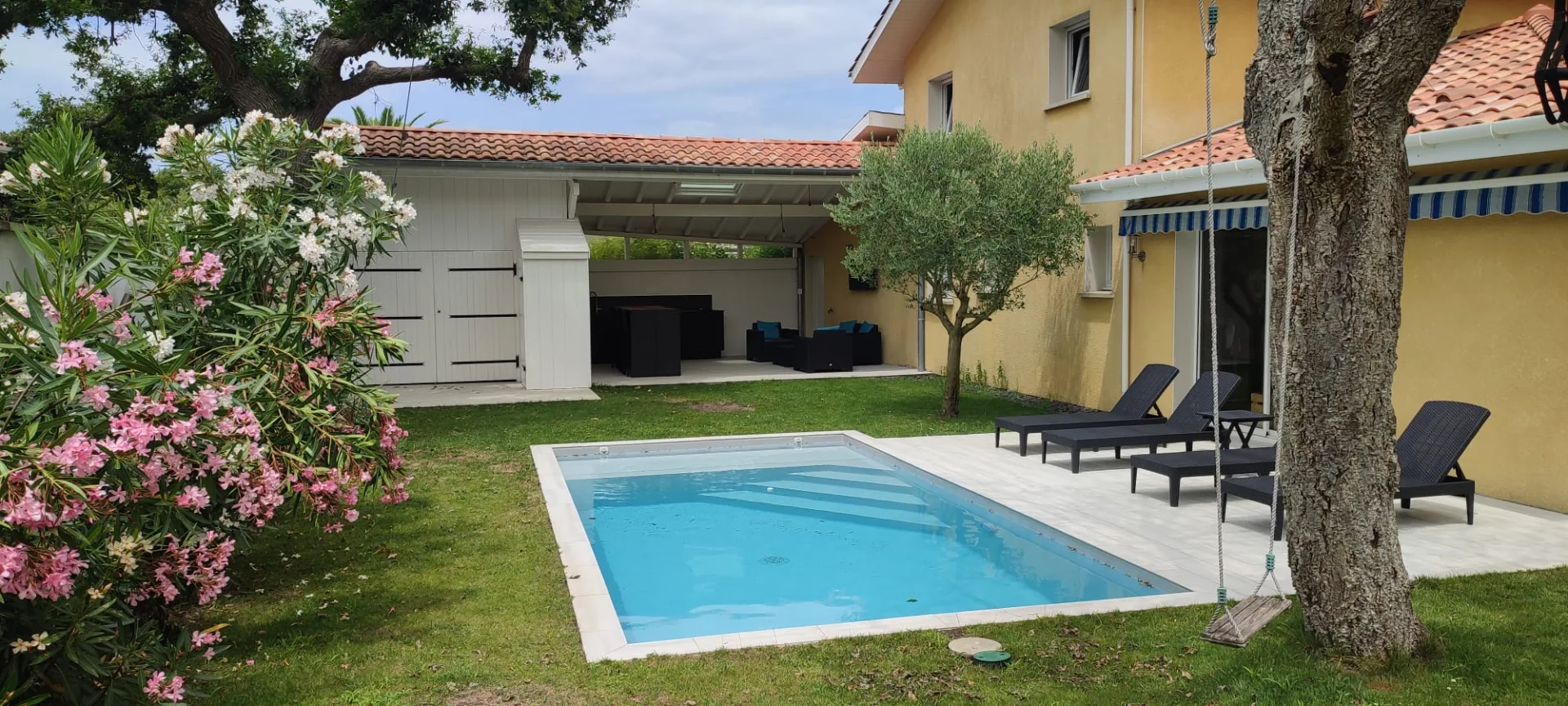 1d909619-2cda-447b-bcf4-b39074677122