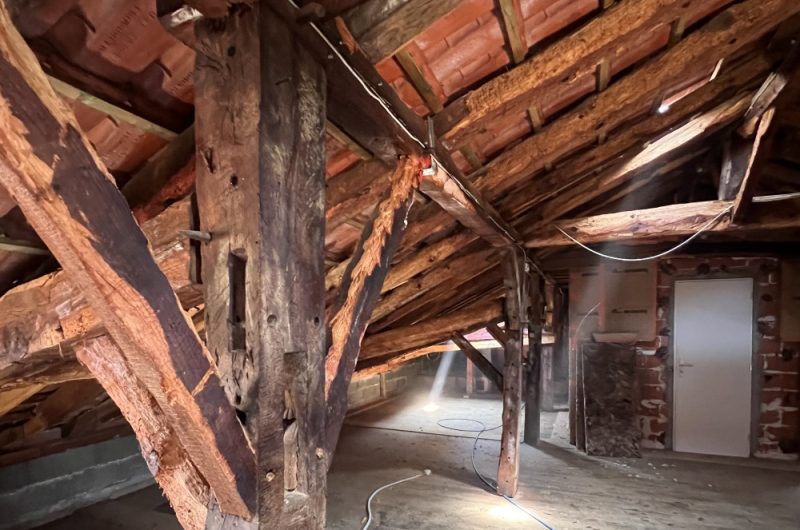 2 – Photo traitement antiparasitaire