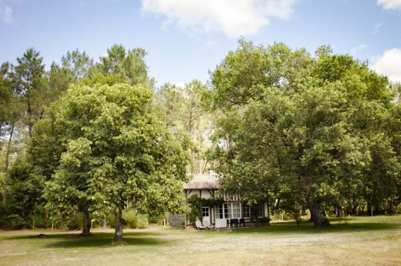 2.ROSE_La baguette_2