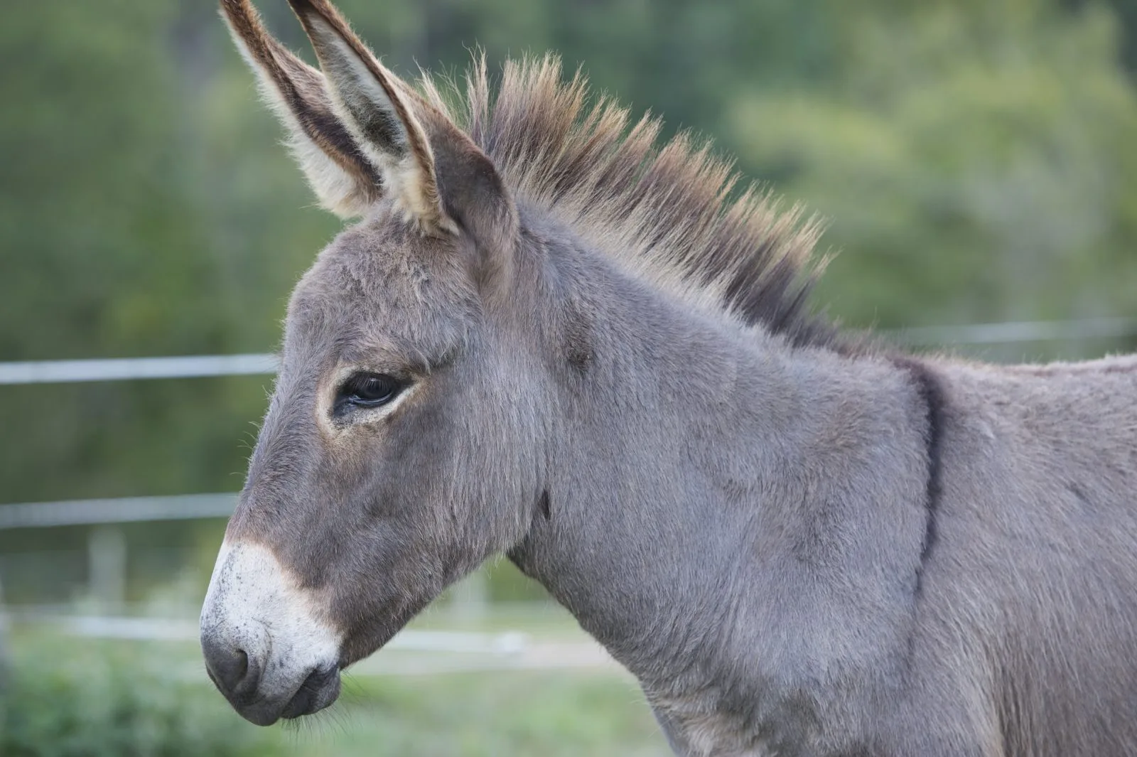 2015_CAS_Turs’Ane013(c)Bazin