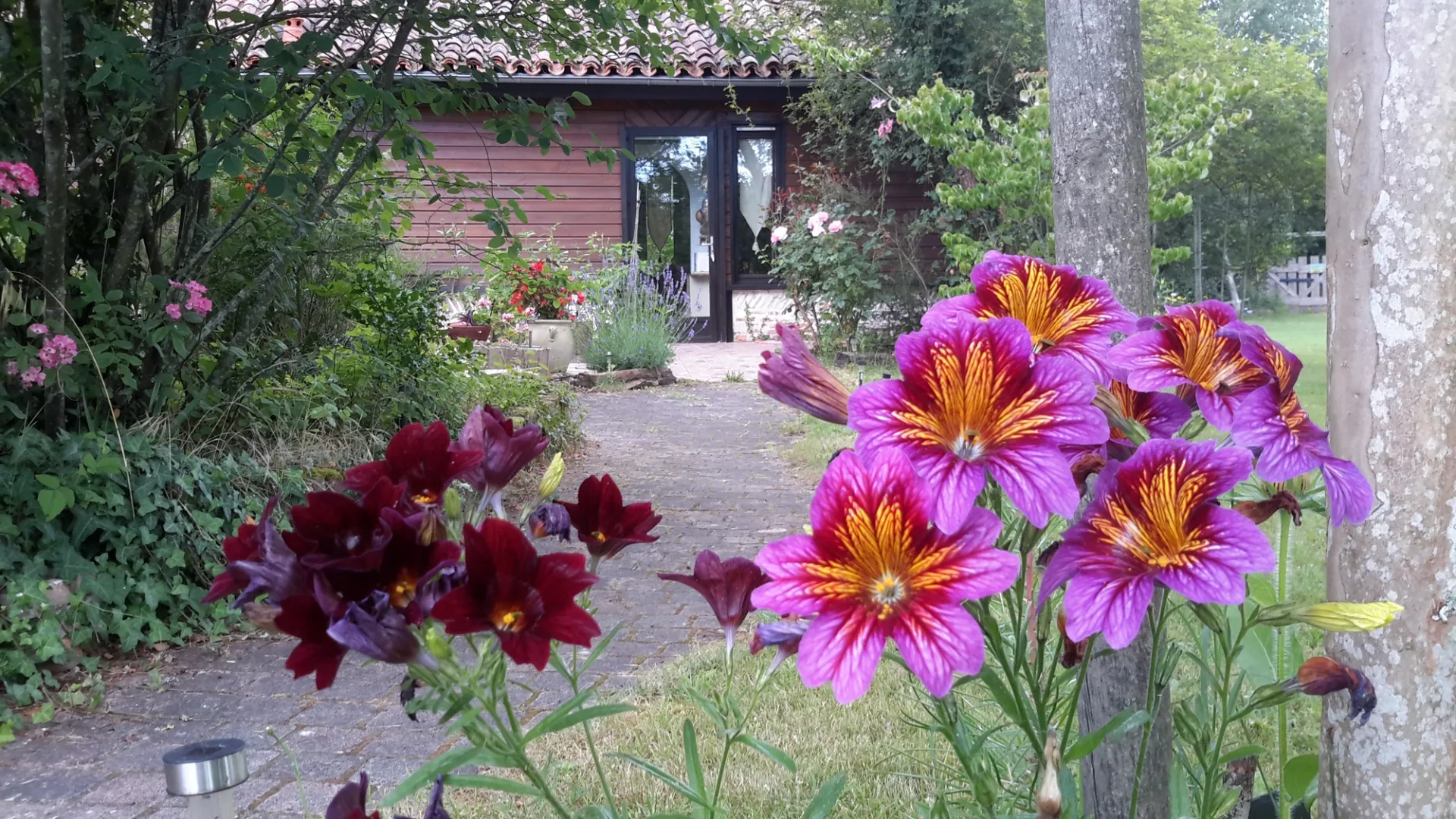 2018 – AUDIGUIER (2)