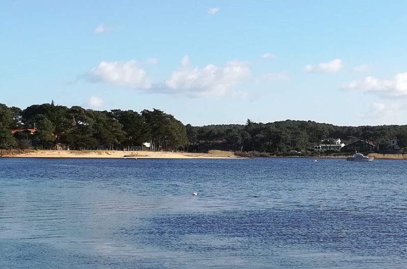 A Mimizan Plage, Sentier des Aigrettes