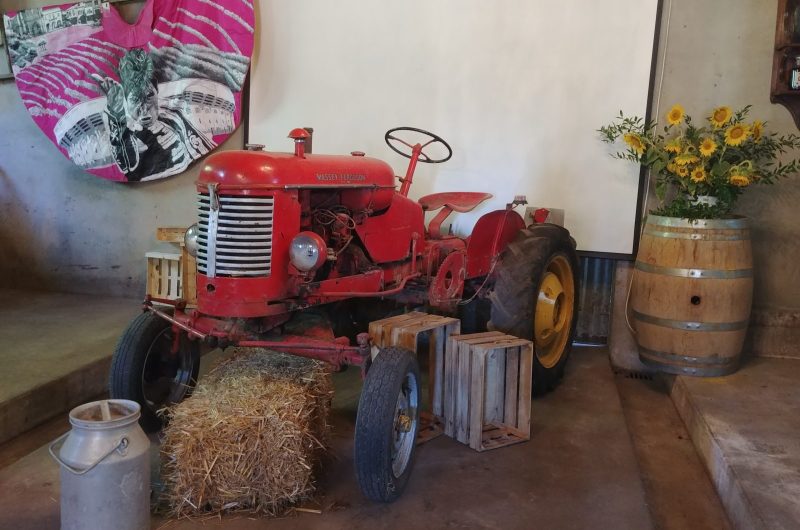 2020-HONT-Domaine de Marquestau-©OT Landes d’Armagnac-EC (2)